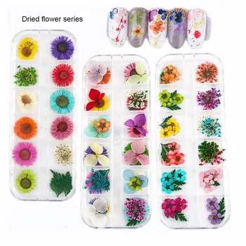 12 Mriežky/Box Mix Sušené Kvety, Ozdoby na Nechty, Prírodné Kvetinové Leaf Nálepky 3D Nail Art Vzorov poľských Manikúra Príslušenstvo