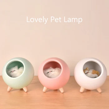 Led Pet Dekorácie USB Nabíjanie Nočné Svetlo Anime Pre Domáce Kawaii Izba Dekor Valentines Day Darček Spálňa Nočné Lampy