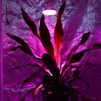 54W LED Rásť Svetlo Fitolamp Rastlín Rastúcich na Čítanie 18LEDs Červená+Modrá Kvetina Žiarovka pre záhradné semená rastliny rastú box vnútorné osvetlenie